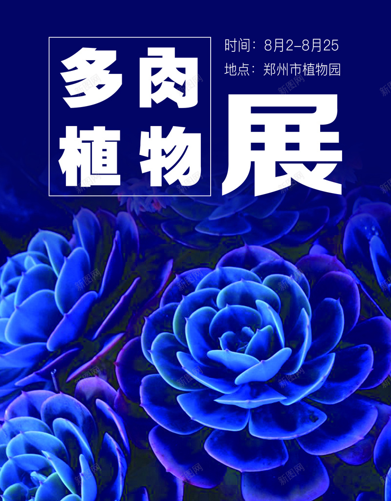 多肉植物展海报单页psd设计背景_新图网 https://ixintu.com 单页 合成 多肉 海报 素材 背景