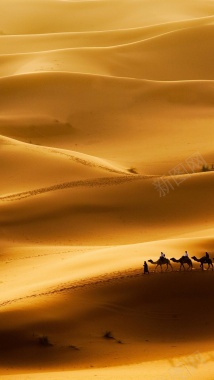 沙漠H5背景摄影图片