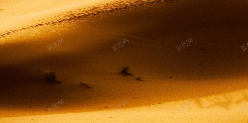 沙漠H5背景jpg_新图网 https://ixintu.com H5 h5 一带一路 一带一路宣传画 一带一路峰会 一带一路战略 一带一路路线 一带一路高峰论坛 丝绸之路 摄影 服务一带一路 沙漠 简约 背景 风景 骆驼 黄色