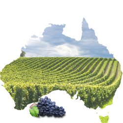 澳洲葡萄酒澳大利亚澳洲葡萄酒PSD分层主图背景高清图片