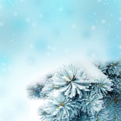 蓝色梦幻圣诞树图片雪花背景高清图片