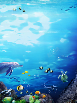 夏季海星鲸鱼海草海底夏天海底世界背景海报高清图片