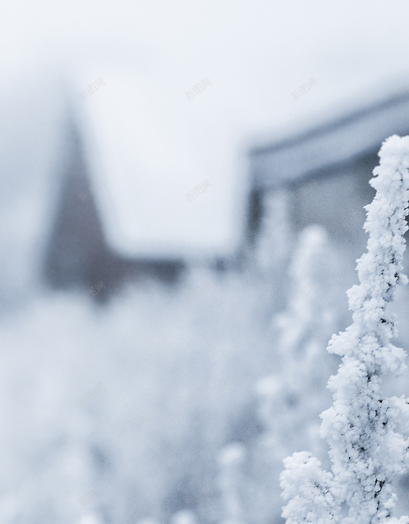 雪景雪花冬至简约背景jpg_新图网 https://ixintu.com 冬季 冬至 摄影 简约 雪景 雪花 风景