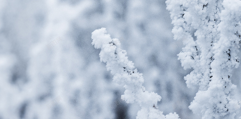 雪景雪花冬至简约背景jpg_新图网 https://ixintu.com 冬季 冬至 摄影 简约 雪景 雪花 风景