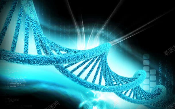 DNA结构与科技背景背景