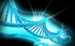 器官DNA结构与科技背景高清图片