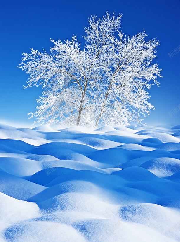 冬天雪地背景背景图片 素材7mivqpuqj 新图网