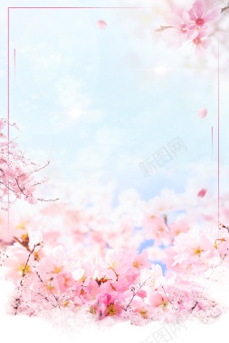 粉色小清新春季杏花背景背景