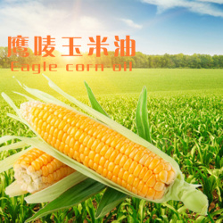 玉米油促销食品促销主图高清图片