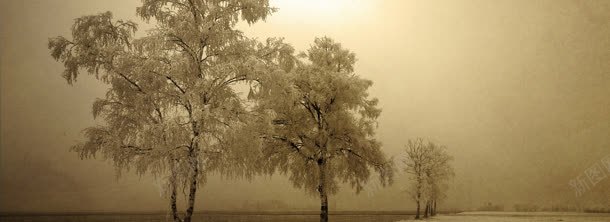 冬天的树jpg设计背景_新图网 https://ixintu.com 冬天