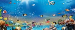 小清新海底世界海底世界展板背景高清图片