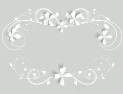 白色的花背景立体白色的花画册背景图矢量图高清图片