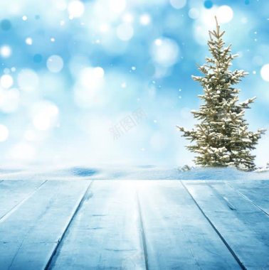 木板上的圣诞树背景