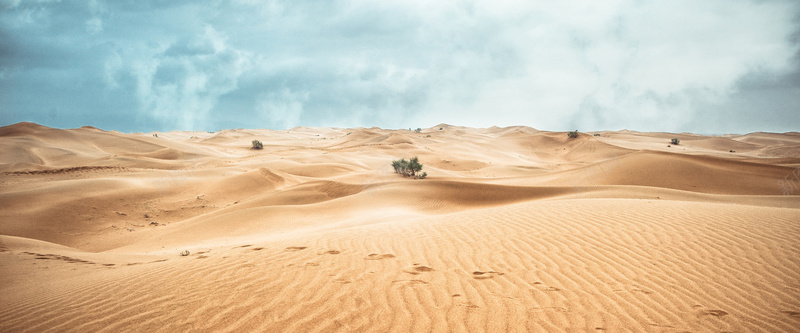 沙漠jpg设计背景_新图网 https://ixintu.com 摄影 植物 沙漠 海报banner 风景