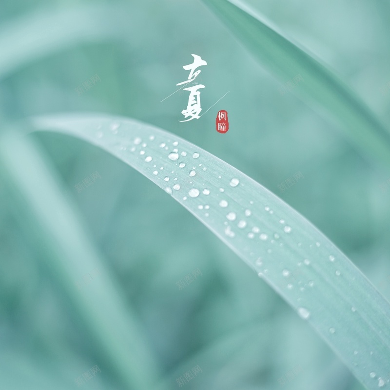 二十四节气立夏jpg设计背景_新图网 https://ixintu.com 中国风 传统 立夏 节气