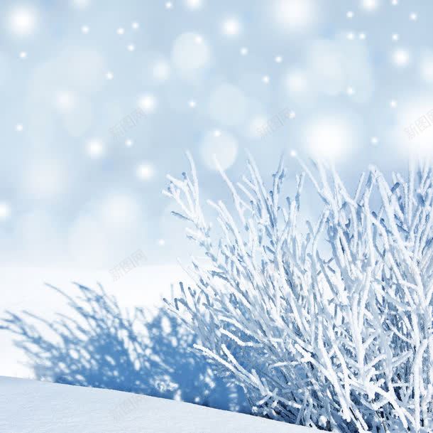 美丽冬天雪地背景背景图片免费下载 素材7jivgvqaj 新图网 美丽冬天雪地背景背景图片免费下载 素材7jivgvqaj 新图网