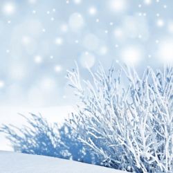 美丽光斑美丽冬天雪地背景高清图片