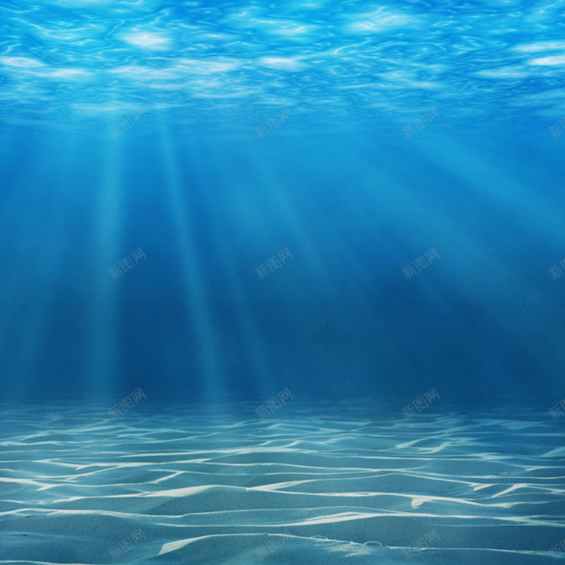 海底首图psd_新图网 https://ixintu.com 主图 摄影 海底 蓝色 风景 首图