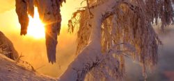 冬季阳光阳光雪地背景高清图片