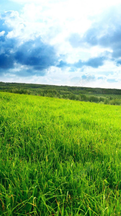 蓝天下的草原蓝天下的草原H5背景高清图片