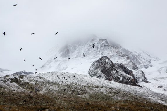 雪白色的山峰土地背景