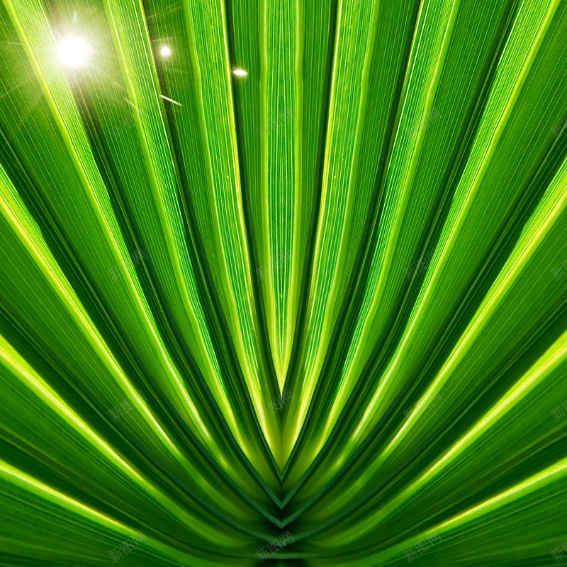 绿色质感首图psd设计背景_新图网 https://ixintu.com 主图 纹理 绿色 质感
