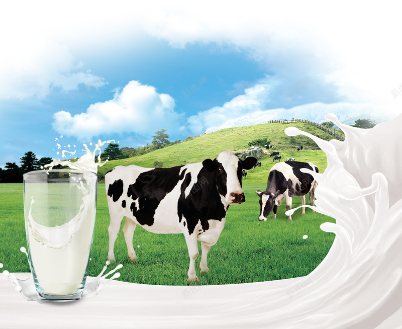 新鲜牛奶品质宣传海报背景psd设计背景_新图网 https://ixintu.com 健康 奶牛 好喝 小清新 文艺 新鲜 杯子 牛奶 牧场 简约 草地