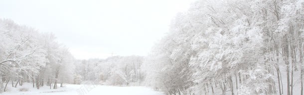 树林雪景jpg设计背景_新图网 https://ixintu.com 冬天 冬季 唯美背景 女装海报 女装背景 男装海报 雪景