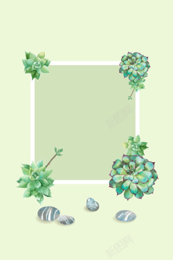 多肉植物架矢量水彩多肉植物背景高清图片