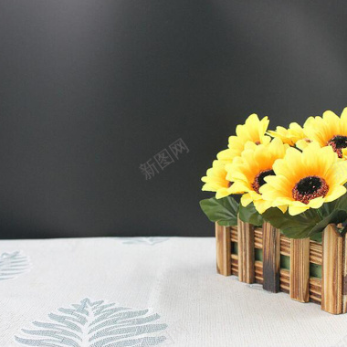 简约桌面向日葵背景图背景