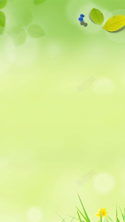 清爽PPT清新清爽绿色H5背景高清图片