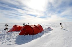 雪地帐篷雪地里的帐篷海报背景高清图片
