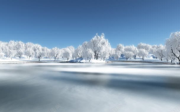 冬天雪景树林背景背景