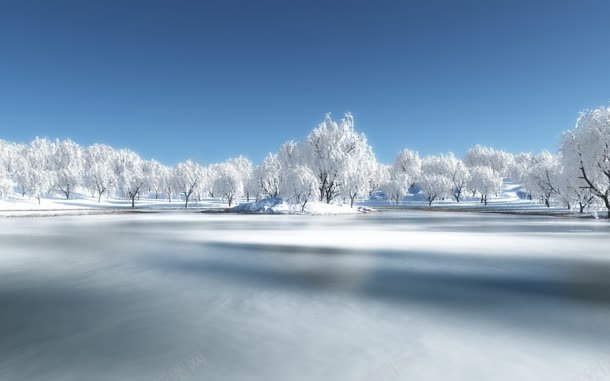 冬天雪景树林背景jpg设计背景_新图网 https://ixintu.com 冬天 树林 背景 雪景