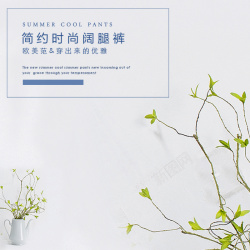 尿布裤主图清新文艺树枝女装背景图高清图片