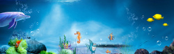 动物世界蓝色夏天游玩海洋动物世界蓝色背景高清图片