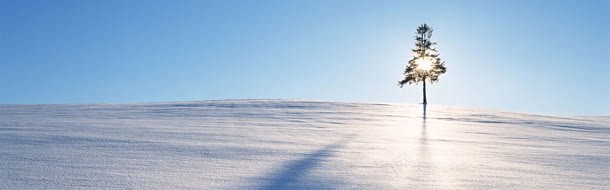 早晨雪日jpg设计背景_新图网 https://ixintu.com 早上 树 雪