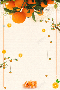 蜜桔拼盘简约时尚橘子水果海报背景高清图片
