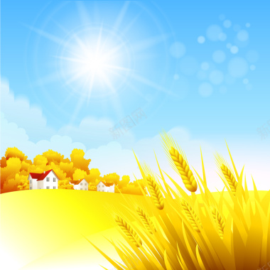 蓝天太阳金色小麦背景矢量图摄影图片