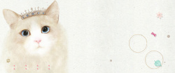 宠物促销宠物文艺白色海报背景banner高清图片