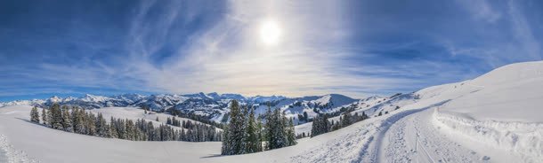 白色雪山松树阳光jpg设计背景_新图网 https://ixintu.com 松树 白色 阳光 雪山