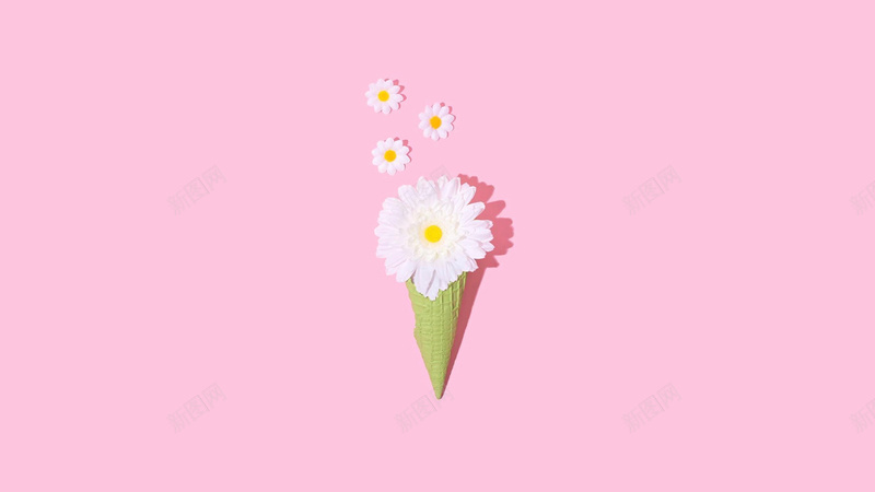 花朵背景jpg设计背景_新图网 https://ixintu.com 简约 素材 背景 花朵