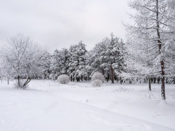雪景万籁俱寂壁纸背景图片 素材7qqvwppep 新图网 雪景万籁俱寂壁纸背景图片 素材7qqvwppep 新图网