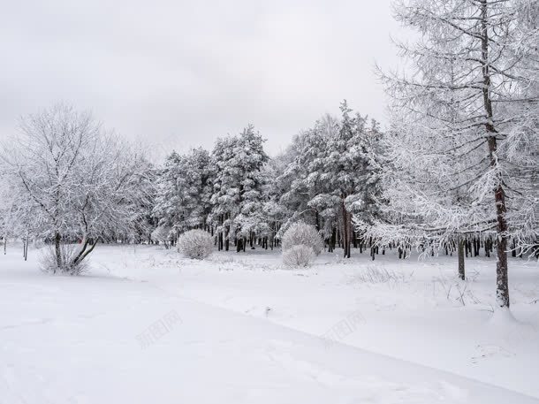 雪景万籁俱寂壁纸背景图片 素材7qqvwppep 新图网