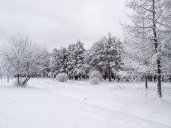 万籁俱寂雪景万籁俱寂壁纸高清图片