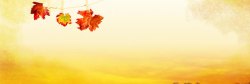 家纺轮播秋季枫叶背景高清图片