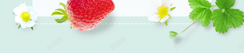创意绿色有机水果草莓背景psd设计背景_新图网 https://ixintu.com PSD源文件 PSD素材 分层文件 创意 有机 有机食品 果蔬 水果 绿色 背景模板 背景海报 背景素材 草莓 食品安全 高清背景