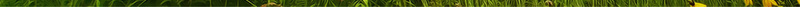 梦幻仙境卡通背景jpg设计背景_新图网 https://ixintu.com 仙境 卡通 手绘 梦幻 森林 童趣 绿色