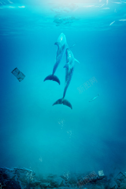 水族馆海报夏天海底世界背景高清图片