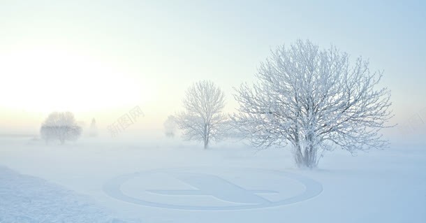 白雪树木冬天雪景jpg设计背景_新图网 https://ixintu.com 冬天 树木 白雪 雪景